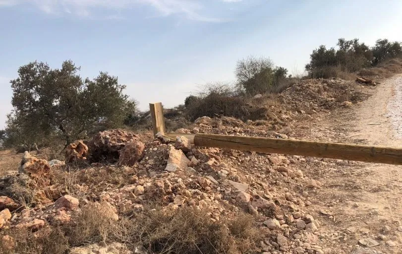 مستعمرون يقطعون أعمدة الكهرباء في بيتا جنوب نابلس 
